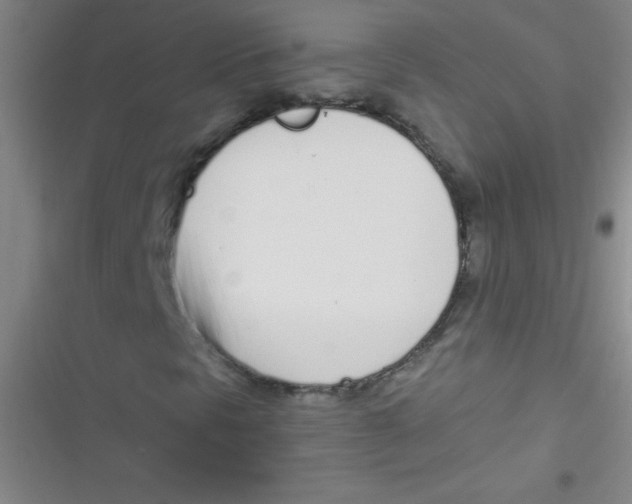 X0000116821297201001081408