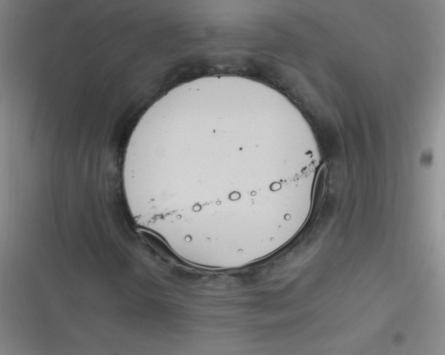 X0000116821298201001081408