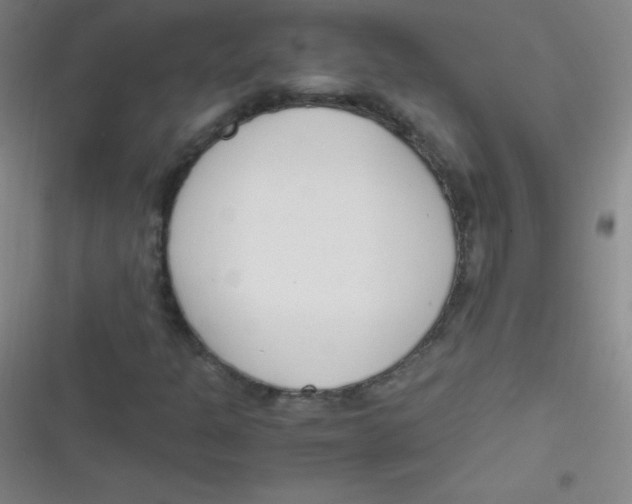 X0000116821301201001081408