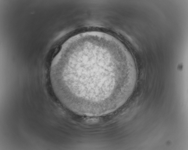 X0000116821303201001081408