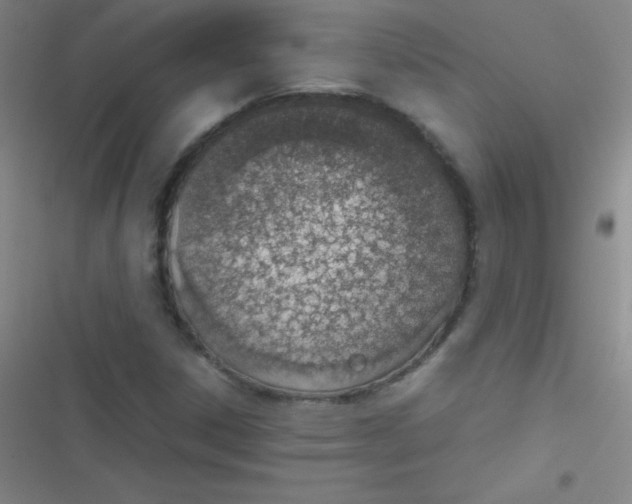 X0000116821306201001081408