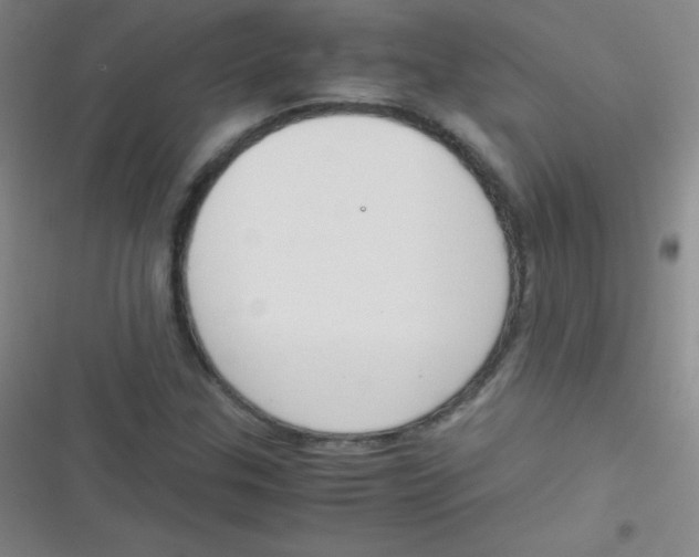 X0000116821307201001081408