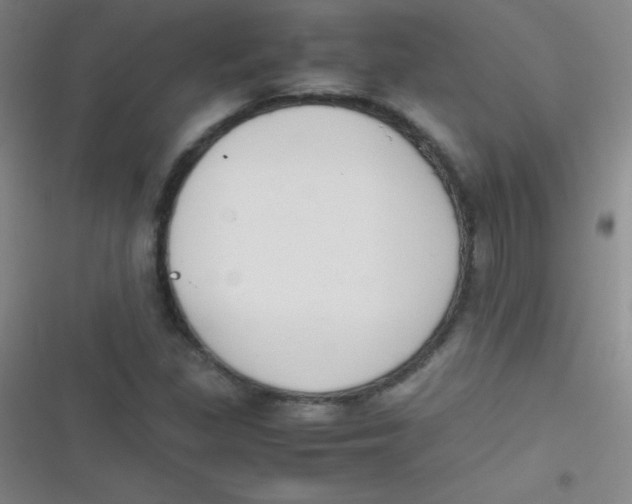 X0000116821309201001081408