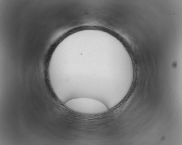 X0000116821311201001081408