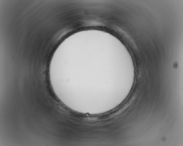 X0000116821313201001081408