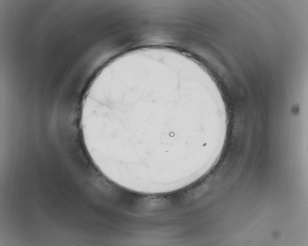 X0000116821314201001081408