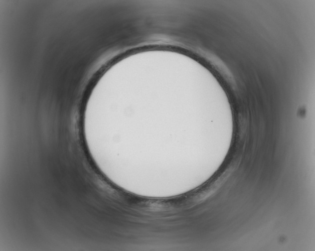 X0000116821318201001081408