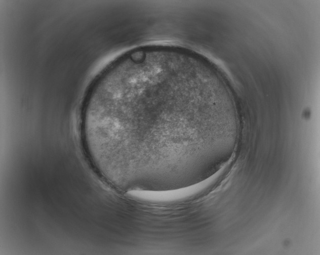 X0000116821319201001081408