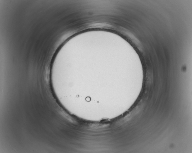 X0000116821322201001081408