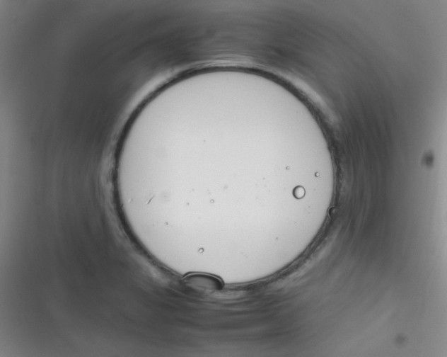 X0000116821325201001081409