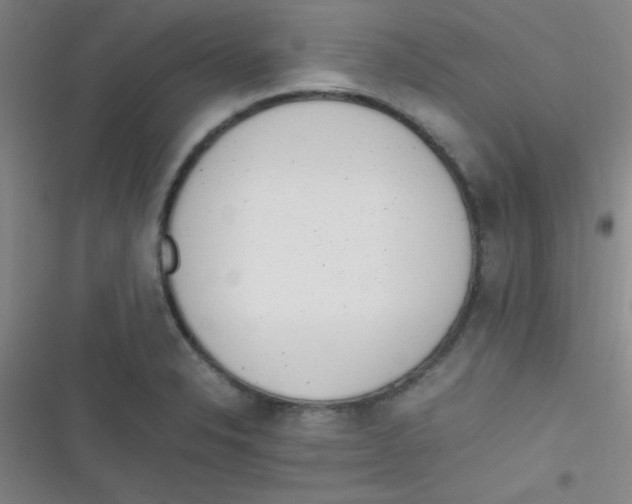 X0000116821326201001081409