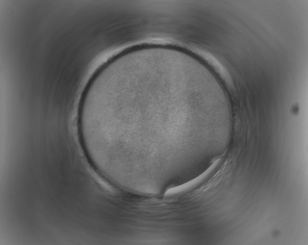 X0000116821327201001081409