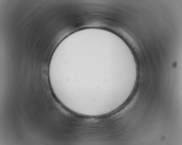 X0000116821329201001081409