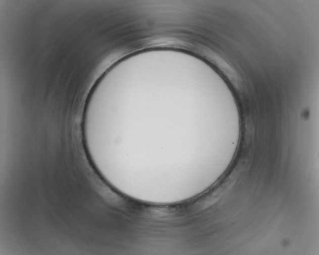 X0000116821330201001081409