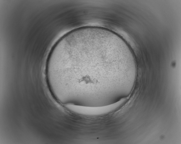 X0000116821331201001081409