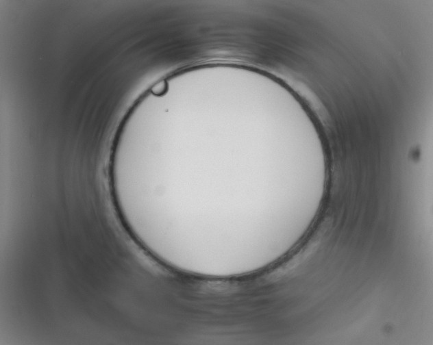 X0000116821333201001081409