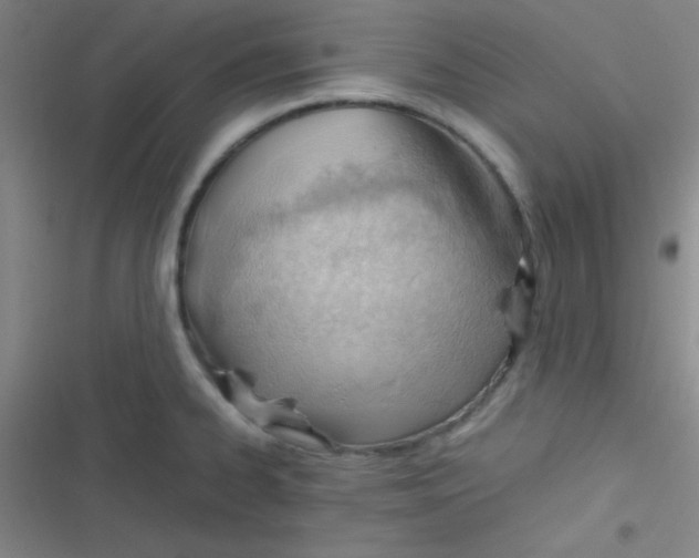 X0000116821334201001081409