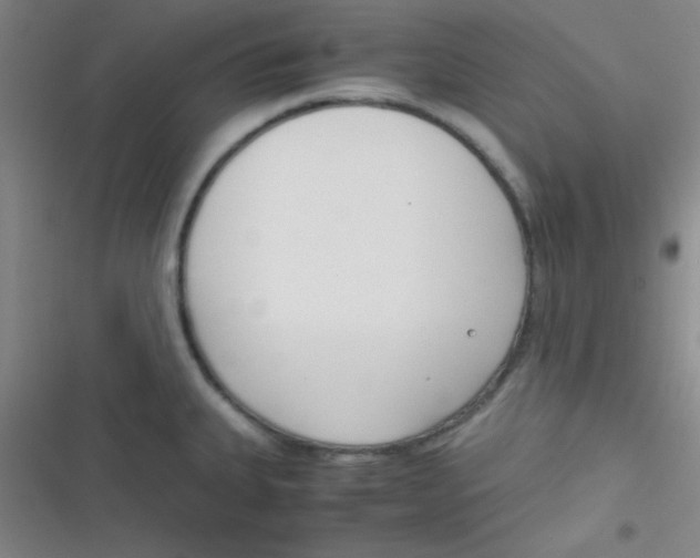 X0000116821335201001081409