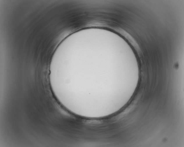 X0000116821337201001081409