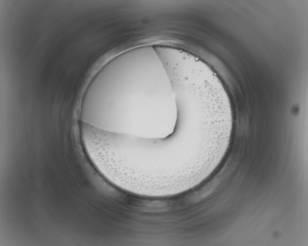 X0000116821338201001081409