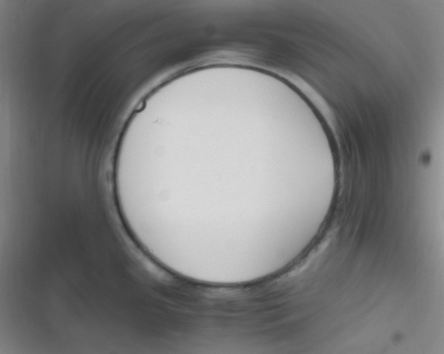 X0000116821341201001081409