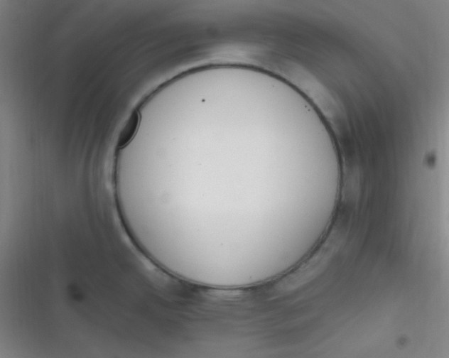 X0000116821342201001081409