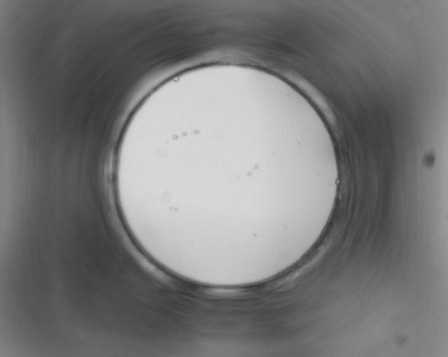 X0000116821343201001081409