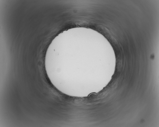 X0000116821345201001081408