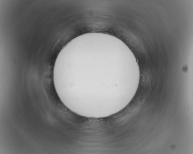 X0000116821346201001081408