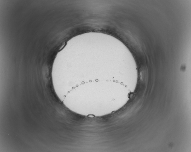 X0000116821347201001081408