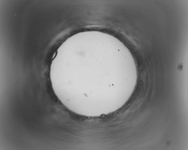 X0000116821351201001081408