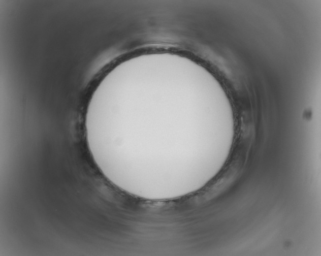 X0000116821352201001081408