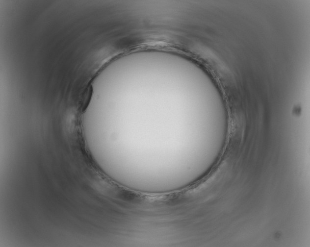 X0000116821353201001081408