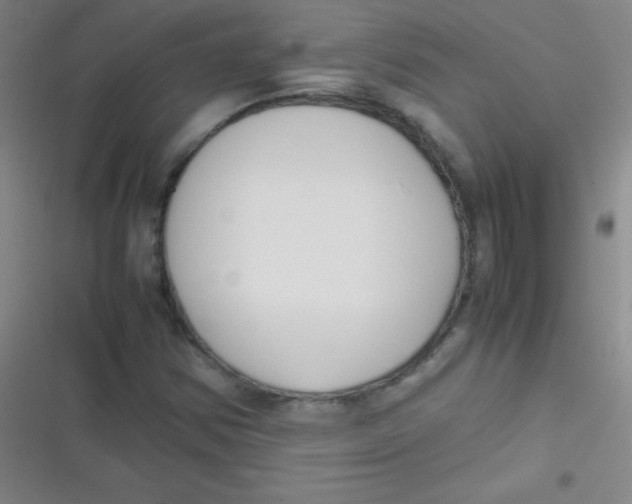 X0000116821354201001081408