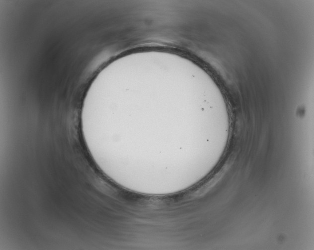 X0000116821355201001081408