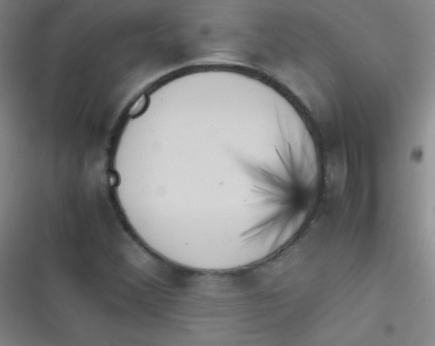 X0000116821356201001081408