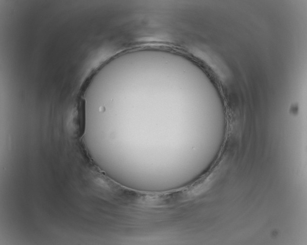 X0000116821357201001081408