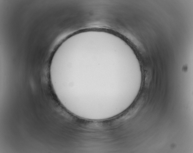 X0000116821358201001081408