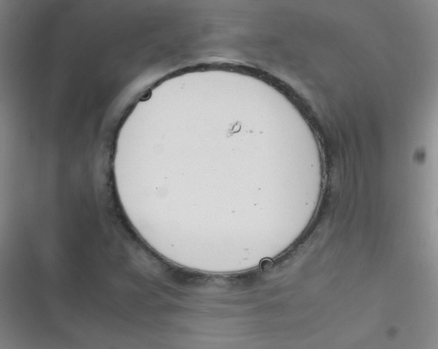 X0000116821359201001081408