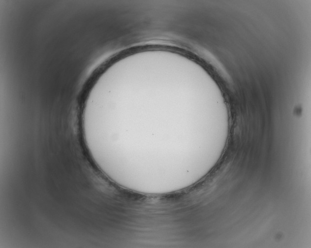 X0000116821360201001081408