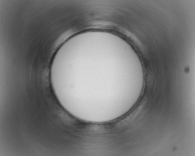 X0000116821362201001081408