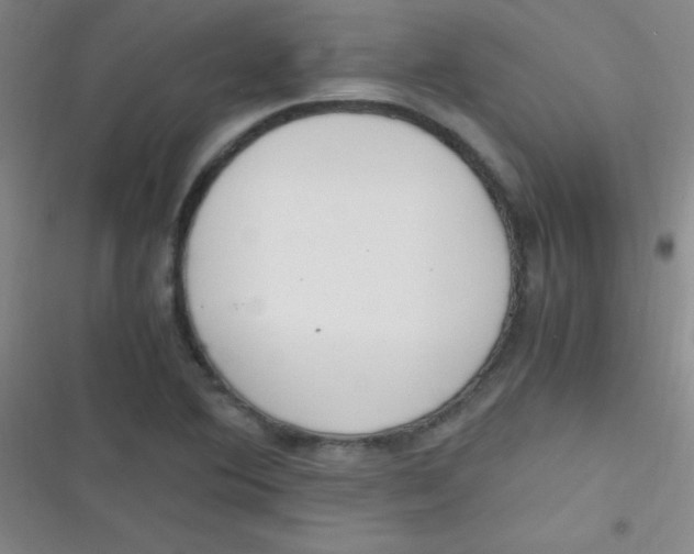 X0000116821364201001081408