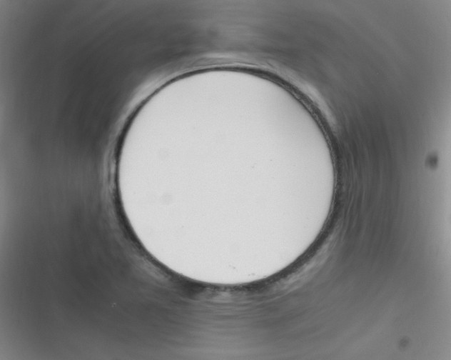 X0000116821365201001081408