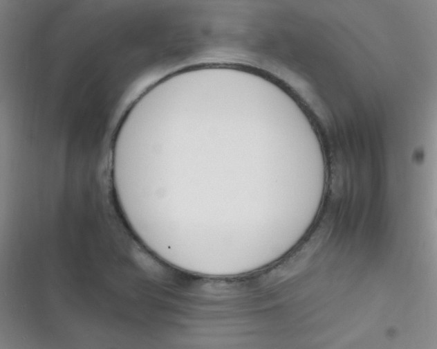 X0000116821366201001081408