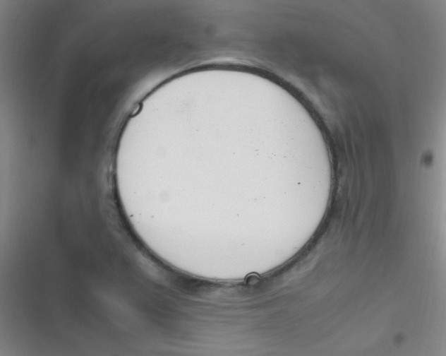 X0000116821367201001081408