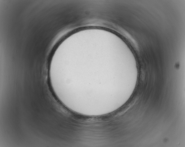 X0000116821368201001081408