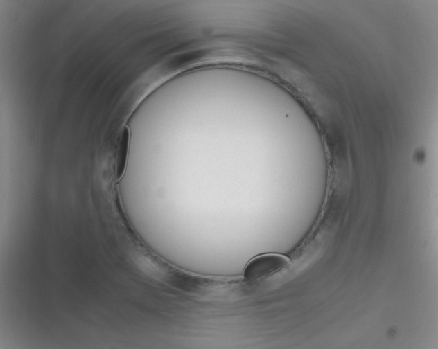 X0000116821369201001081408