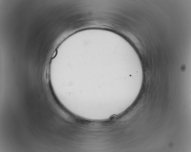 X0000116821371201001081408