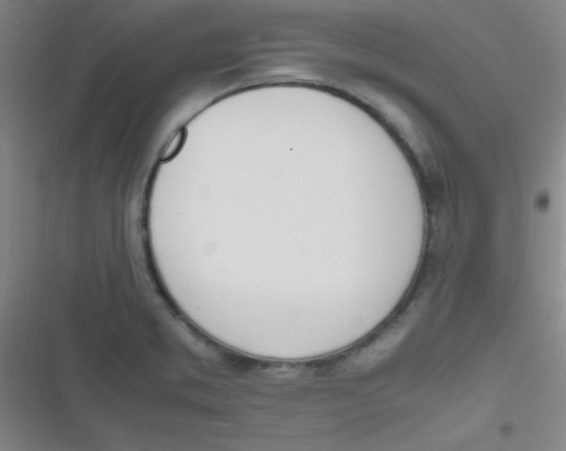 X0000116821373201001081408