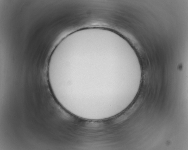 X0000116821374201001081408